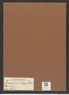 Triceratium insigne Grev. (de-Toni-Nr.: Genus 140, Species 3955) Zeichnungen Sammlung Grunow Mappe 03961 (Herbarium_W_Grunow_drawings_Folder_03961)